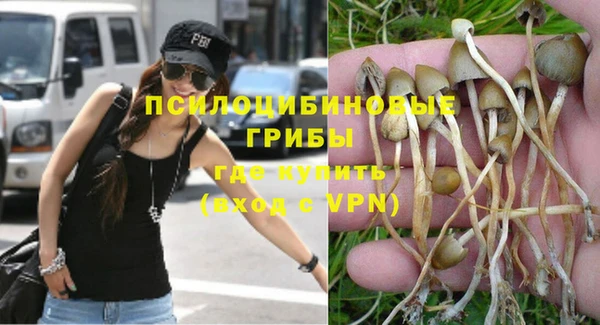 молекула духа Нефтегорск